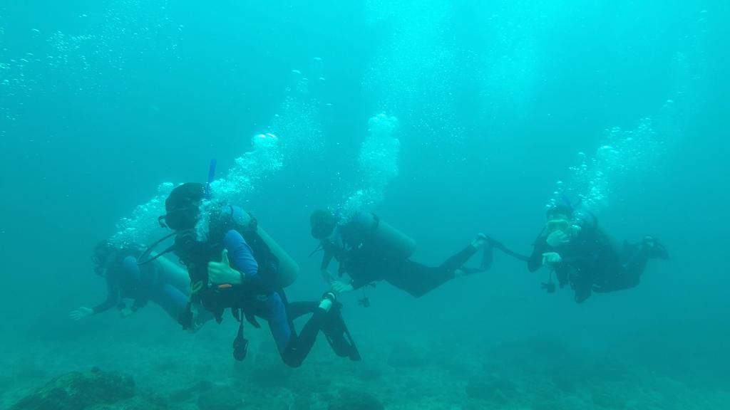 Camp_CostaRica's tweet photo. More of #TeamIlanIlan during their dive yesterday😄 #CampPapagayo #DoSomethingAmazing #CampsEffect @CampsInt https://t.co/EEHRghdXhn