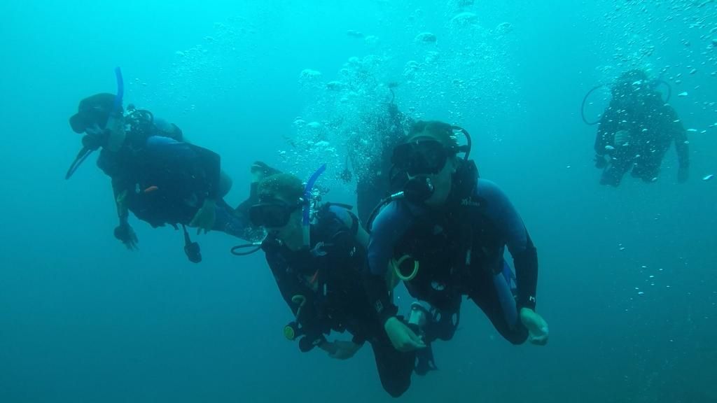 Camp_CostaRica's tweet photo. More of #TeamIlanIlan during their dive yesterday😄 #CampPapagayo #DoSomethingAmazing #CampsEffect @CampsInt https://t.co/EEHRghdXhn