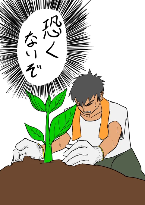 勇気栽培 