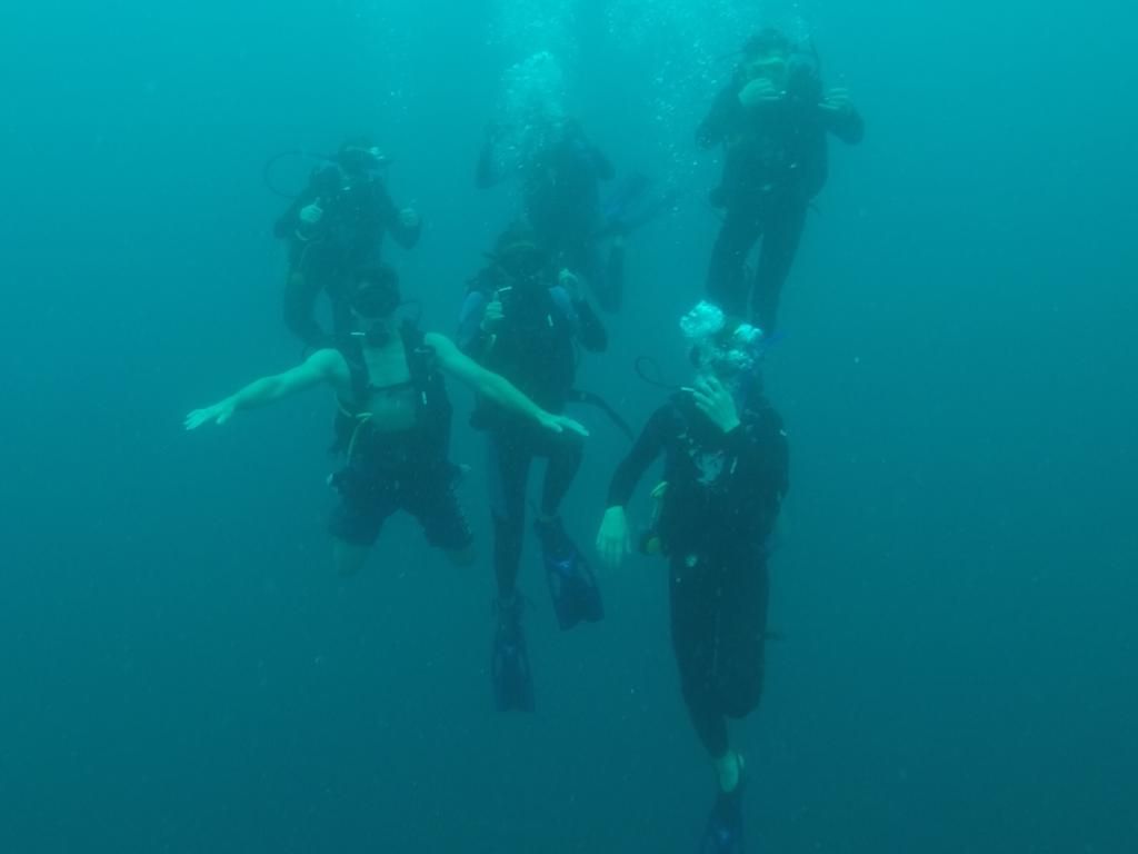 Camp_CostaRica's tweet photo. #TeamIlanIlan saw some marine life during their dive yesterday at #CampPapagayo 🦈 #DoSomethingAmazing #CampsEffect @CampsInt https://t.co/S1O5t1yyPk