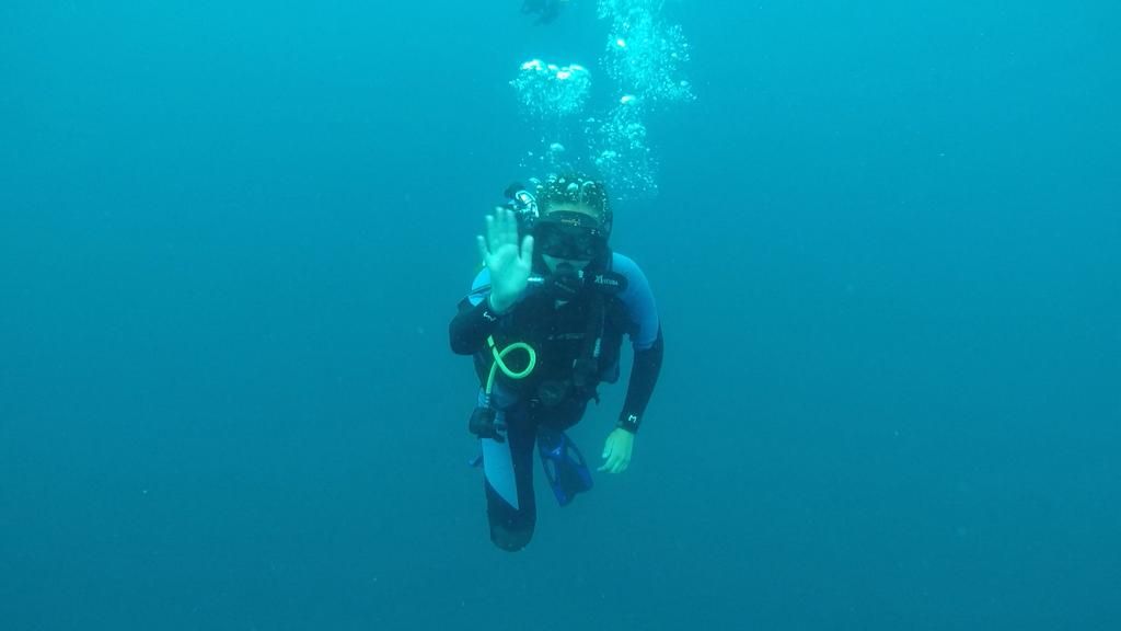 Camp_CostaRica's tweet photo. #TeamIlanIlan saw some marine life during their dive yesterday at #CampPapagayo 🦈 #DoSomethingAmazing #CampsEffect @CampsInt https://t.co/S1O5t1yyPk
