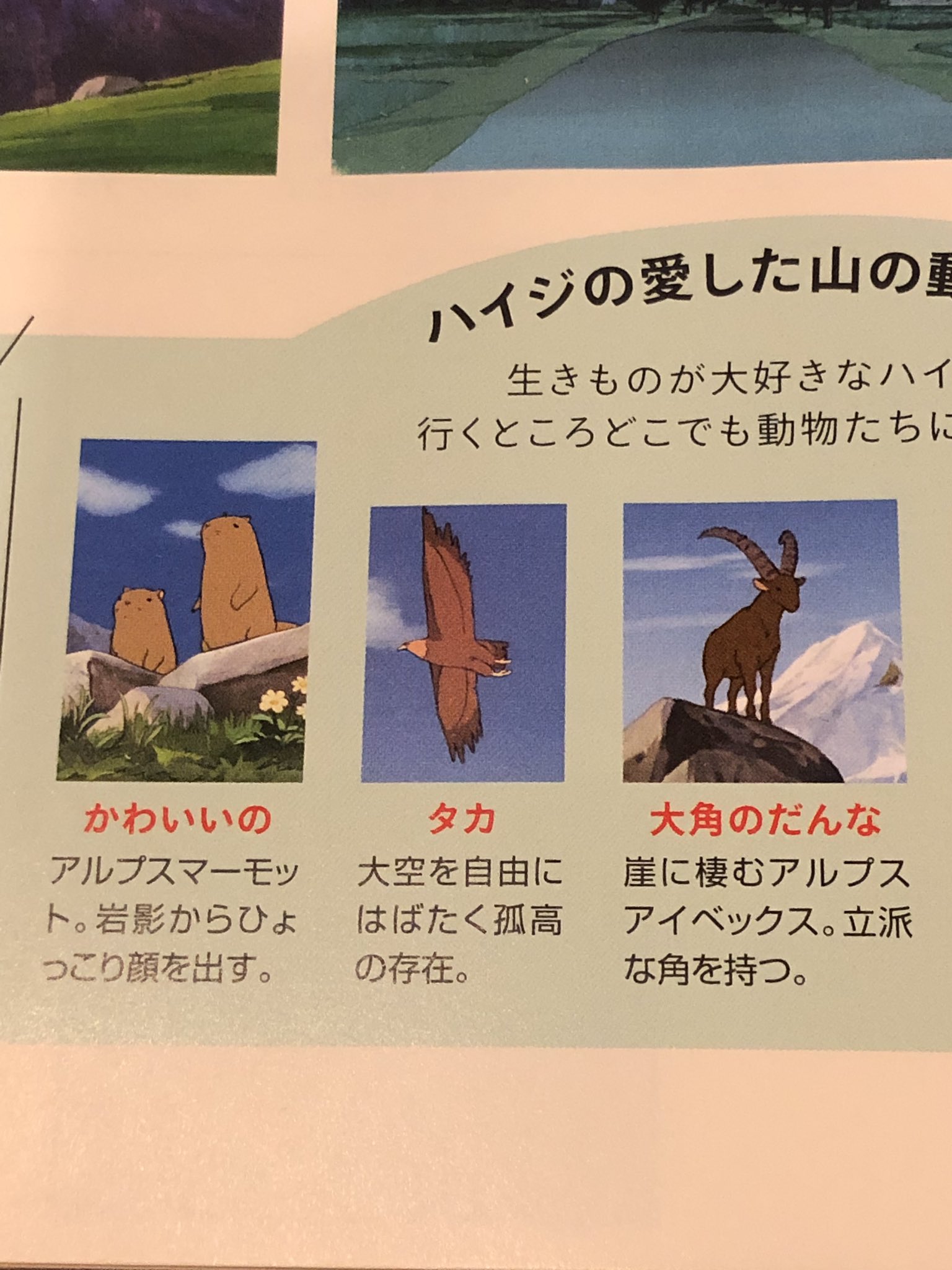 O Xrhsths まゆたす Sto Twitter 月刊moe9月号買いました ハイジの特集 読み応えあって写真もイラストもみーんなカワユス O 雑誌はたまにしか買わないけれど 紙媒体の方がハイジがよりかわいく見えるのは何でかな Moe アルプスの少女ハイジ