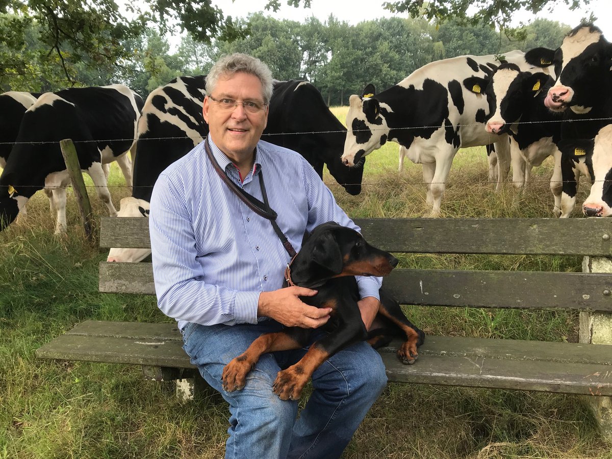 Henk Krol tweet media