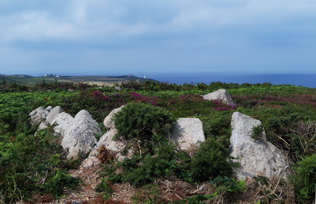 Chypraze Barrow was lost to the gorse for years until a fire revealed it. I'd never heard of it but spotted it when walking the SW Coast Path and the  @megportal confirmed it. Stone ring with what looked to my untrained eye like a cist inside. #PrehistoryOfPenwith