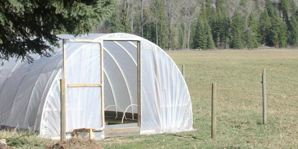You do NOT need a green house to grow your own greens.  You don't need any special tools, or acreage.  Worried about #ecoli - you don't have to be.  ==>mariebennett.com/e-coli-grow-yo… <==