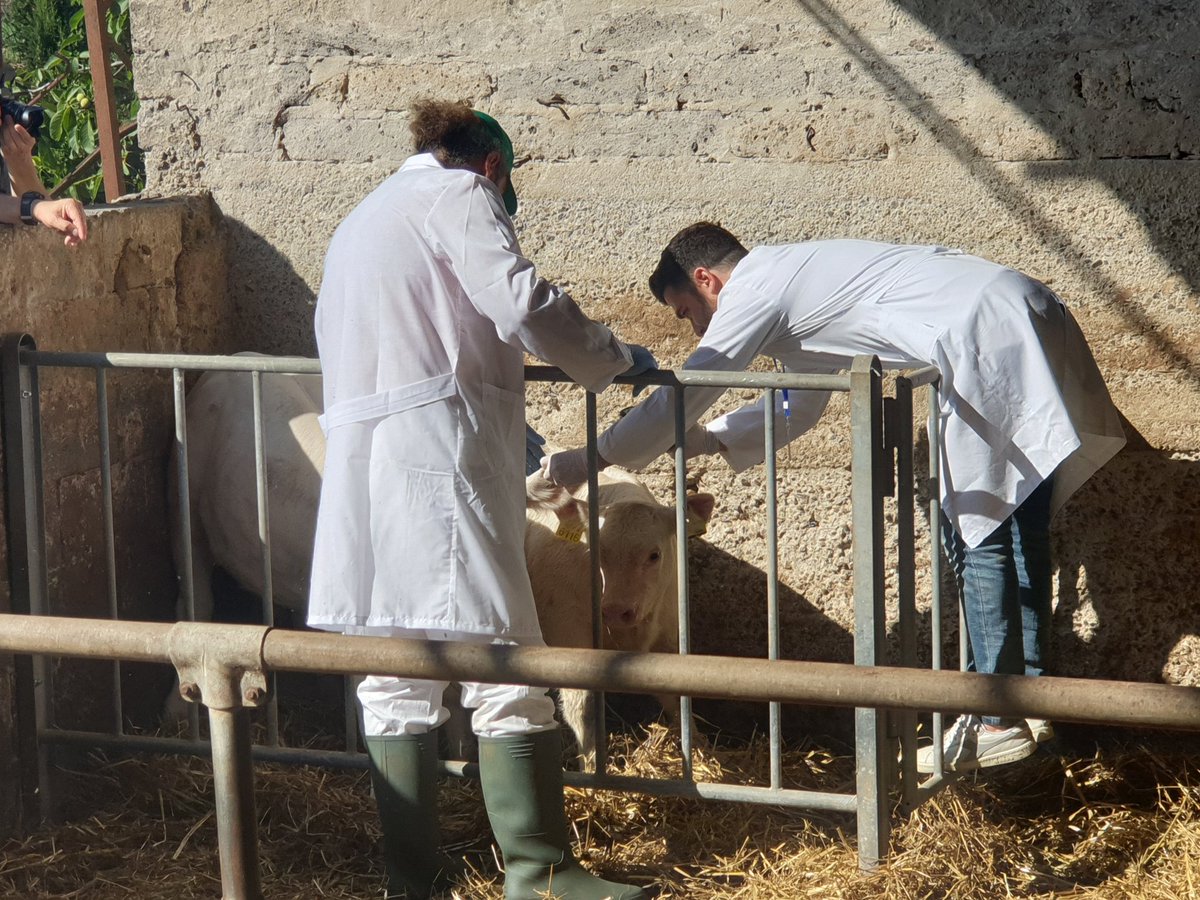 santangeloitalo's tweet photo. A L'Aria che tira @La7tv di domani alle 11 servizio sulle attività di #foodtech #innovation di #FarzatiTeam in particolare sul #BluDev sistema avanzato di #tracciabilità #filieraalimentare dall'#origine al #consumo #food #blockchain #biochain #FBchain @FarzatiT @SEEDSandCHIPS https://t.co/h0VyK6ImQb