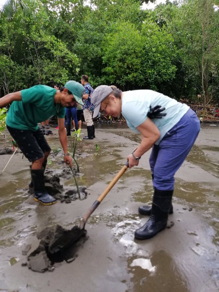philchestorg's tweet photo. Another tree planting event is happening today in Malambuon, Davao City by the Southern Mindanao Chapter! Thanks for your participation. #PUSHMoLungs
#HealthyAirNow #CommitToCleanAir https://t.co/sfDgrt6egh