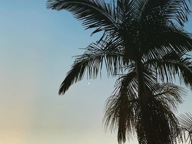 Hier is het prima vol te houden down under 🤙🏻🇦🇺🏄🏼‍♂️💖🦜🌴🦘🐋🐬🦐🦅🐨🙏🏼 #yamba #australia #wanderlust #roadtrip #boumannenreis #moon #maanopdekop