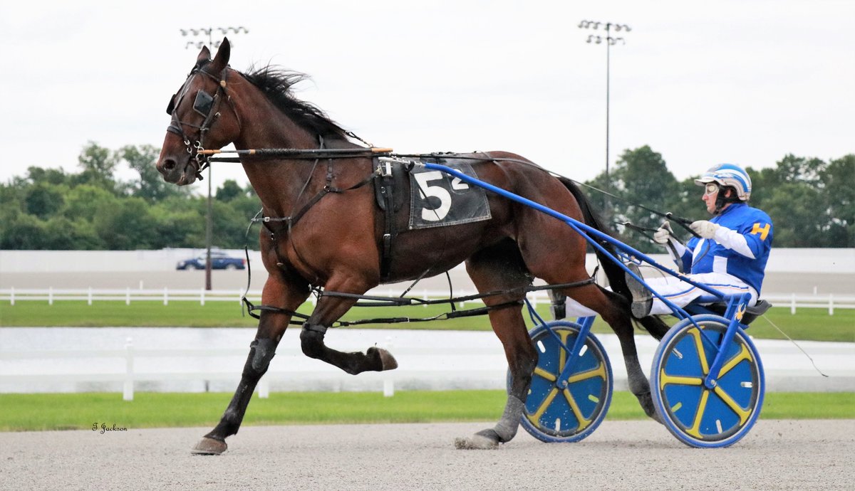 hoosiernations's tweet photo. GoodMorning @Chris_wponies @JoannKi32885615 @rebelsart @jtlburn @kimberlymoier @GlenPeckinpaugh @vnssa926 @KathleenBaitzel @joe_norte @elliotgordon2 @blongphee67 @SadandSulk @musicalhossgal @INStandardbred @HoP_Racing #PerfectVirgin #DaleHiteman #PlayHP https://t.co/lvjOjCkBNO