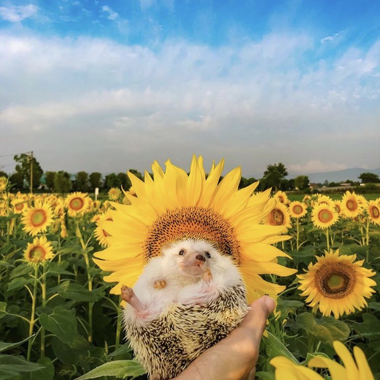 Sunday 4th August, 2019
