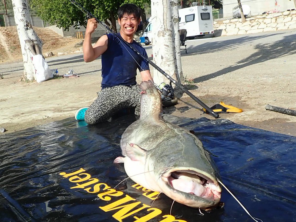 怪魚ハンター山根兄弟 兄 Kimi パックロッドshore Rで挑んだ ヨーロッパオオナマズ 釣り 50kgオーバーは出たのか テレビ東京 緊急sos は今夜19 54から放送です 怪魚ハンター山根兄弟 兄 Kimi パックロッドshore Rで挑んだ ヨーロッパオオナマズ 釣り 50kgオーバーは出たのか テレビ東京 緊急sos は今夜19 54から放送です