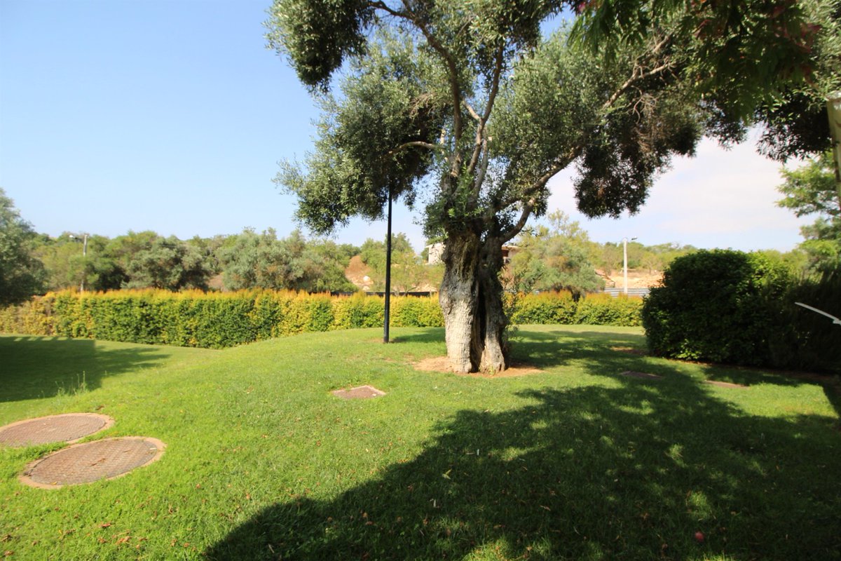 PTPropertyShow's tweet photo. Situated in the popular Eden Resort in Albufeira 🗺 this apartment is close to beaches 🏖, shops🛍, supermarkets🍉🍇, golf courses⛳️, waterparks 💦 &amp; more! 🥳😎

235,000€ | https://t.co/ckTMgMTi0w

🎈@Opropertyshow - Sept 7-8, 2019
Free Tickets 🎟👉 https://t.co/YK0j2WaPNP 👈 https://t.co/esVO3Eyuso