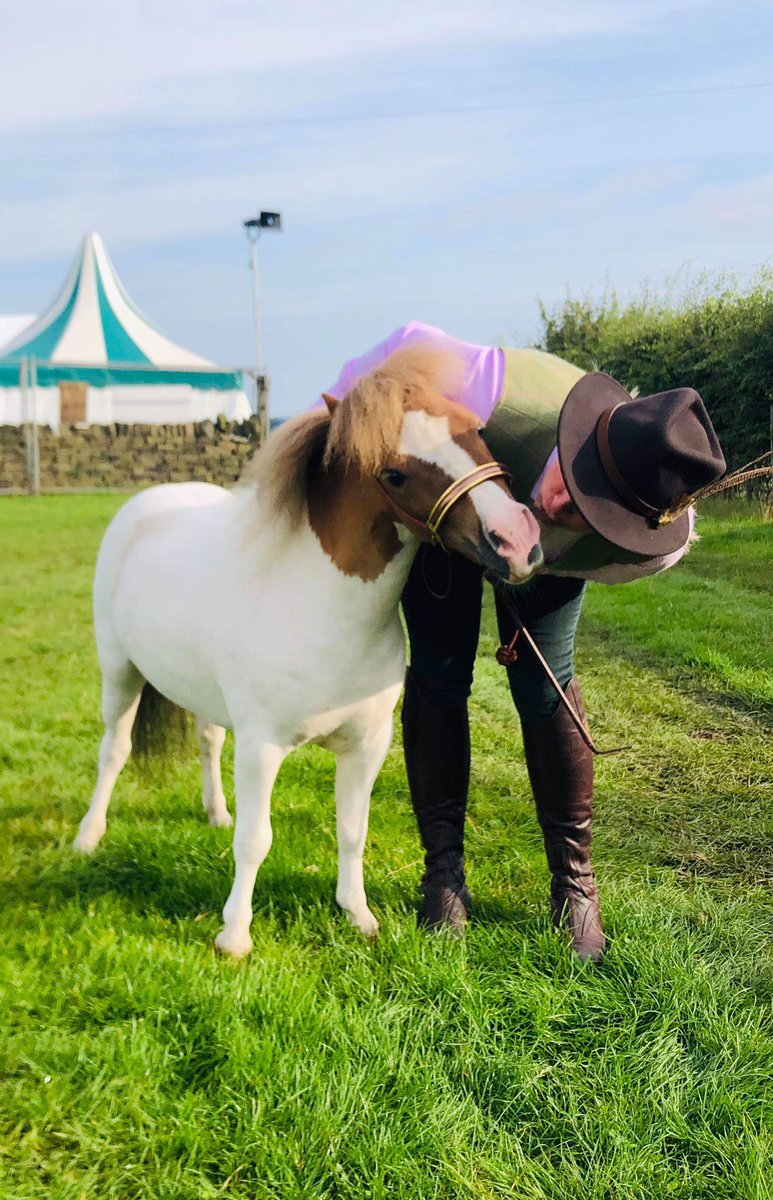 Rabbitminiature's tweet photo. I went to Emley show yesterday and I was a good Girl #twinkletoes #tinypony https://t.co/EBigkGru8K