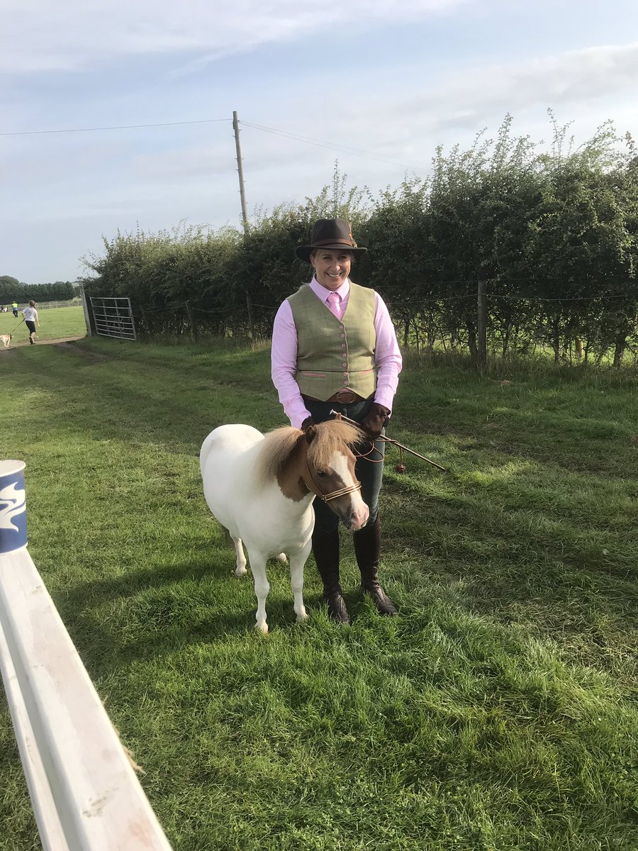 Rabbitminiature's tweet photo. I went to Emley show yesterday and I was a good Girl #twinkletoes #tinypony https://t.co/EBigkGru8K