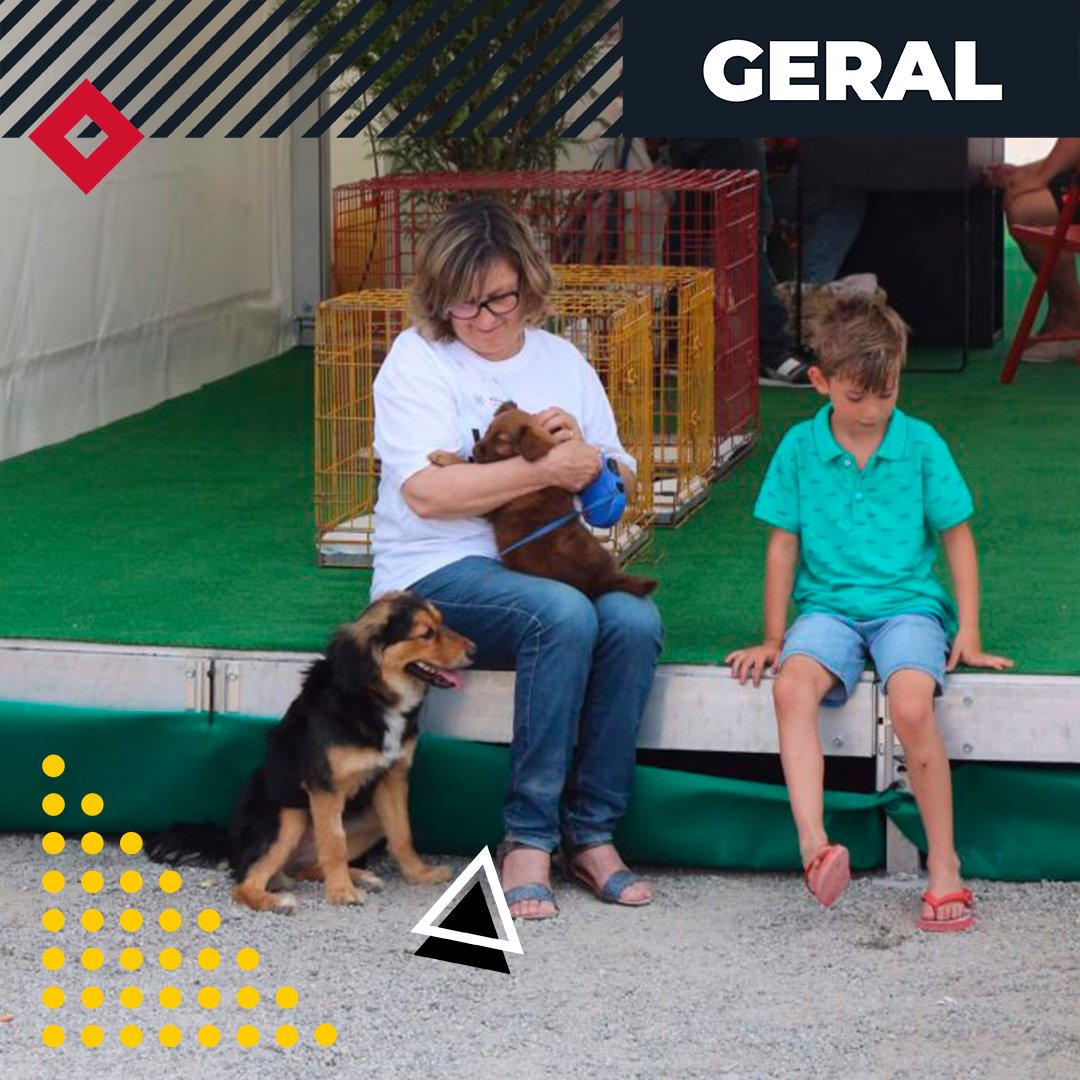 viladocondefest's tweet photo. A simplicidade de um ato humano para com a melhor companhia! 🐕

#adotar #cão #dog #doglovers #melhorcompanhia #vcf2019 #viladocondefest #viladocondefest2019 https://t.co/HUv8YzcDAP