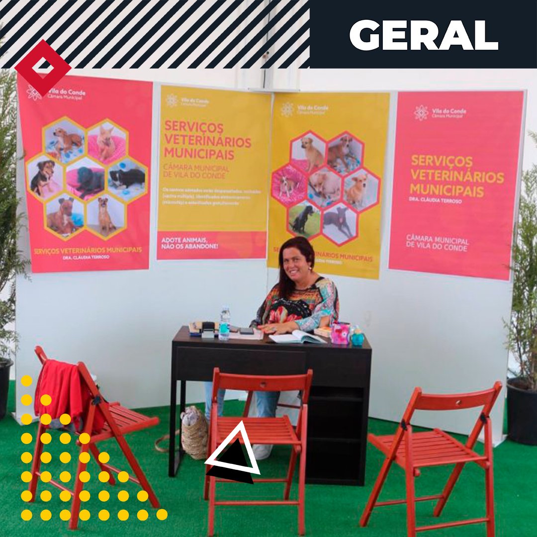 viladocondefest's tweet photo. A simplicidade de um ato humano para com a melhor companhia! 🐕

#adotar #cão #dog #doglovers #melhorcompanhia #vcf2019 #viladocondefest #viladocondefest2019 https://t.co/HUv8YzcDAP