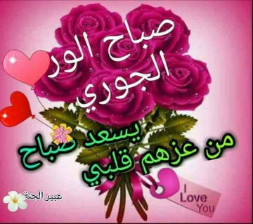 DohaYoosef's tweet photo. @sosoflwoer1234 https://t.co/cVvDnatE48