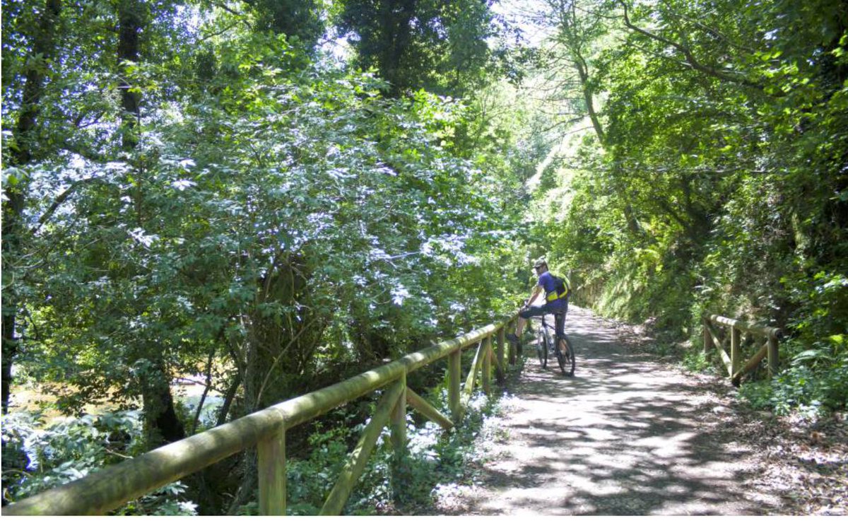 whereisasturias's tweet photo. La Senda del Oso en #Asturias, uno de los ocho paisajes españoles oxigenantes de la Red de Caminos Naturales de España, que reúne a más de 100 vías senderistas y ciclistas de nuestro país @sendadeloso - Vía @elpais_espana
https://t.co/1J50XH9k4D https://t.co/HoNS4sSLLk