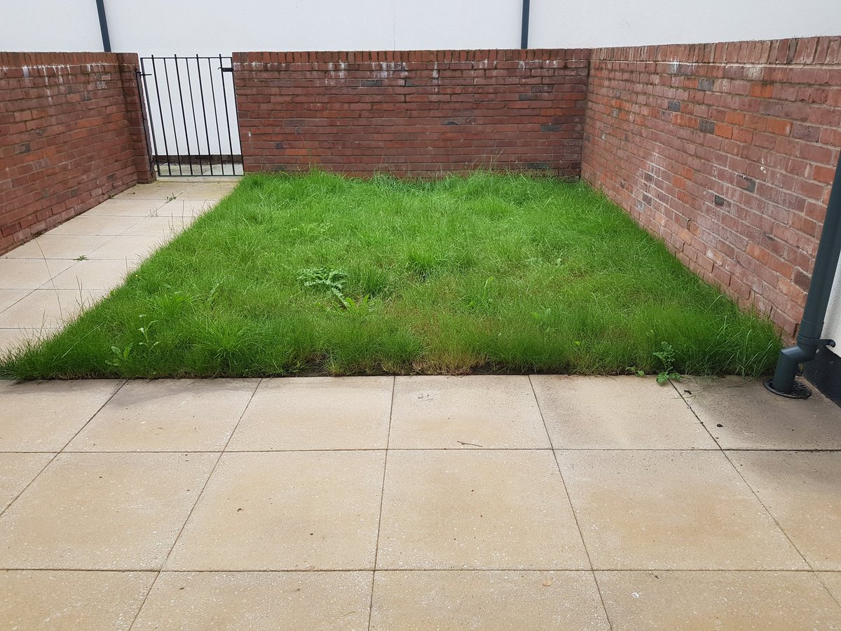 GJonesAstroTurf's tweet photo. Customer no longer has to worry about there lawn, Front and back garden done with @Namgrass Solis https://t.co/QLCxdzfWFe