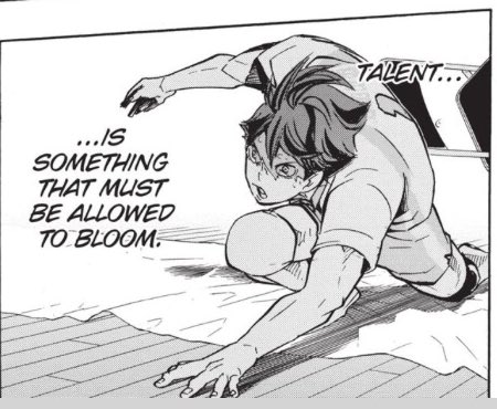I know "talent is something that blossoms, skill is something you hone" is interpreted differently by people, but in my eyes it's this: talent is a seed that you can make bloom, but skill is keeping that flower alive and growing. Talent means nothing, it's how you care for it.