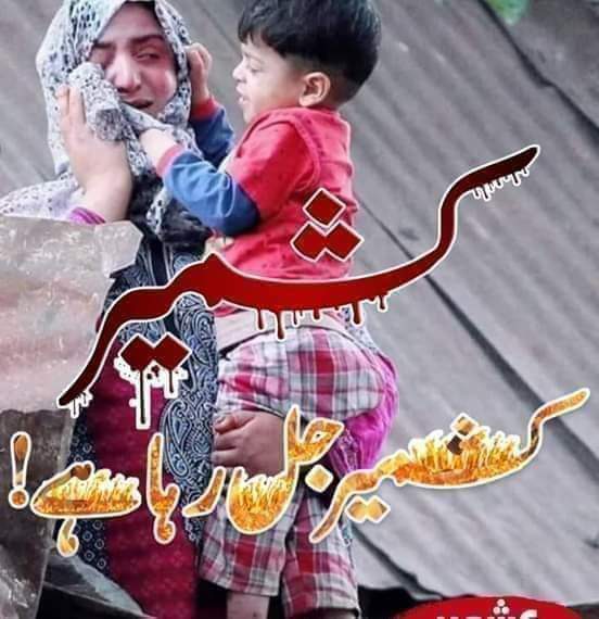 iqrahashmi786's tweet image. #IndiaUsingClusterBombs
مودی
 کی جیت پر فوراً مباکباد کا ٹویٹ

اور 💥کلسٹر💥 بمباری پر ابھی تک ٹویٹر خاموش🚫