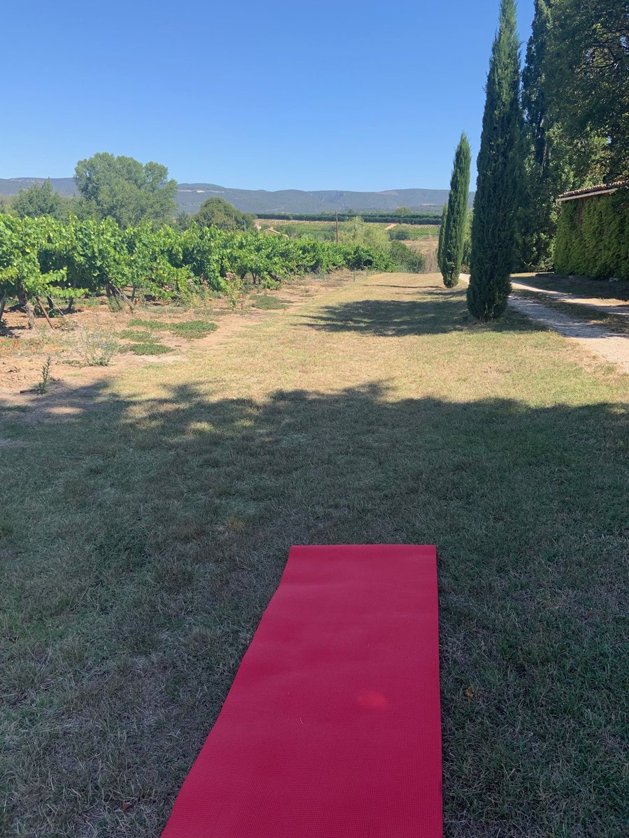 Yoga in a vineyard #bewellworkwell     Recognize the mat ⁦<a href="/DianeKazarian/">Diane Kazarian, FCPA, FCA, ICD.D</a>⁩ ? 🙏
