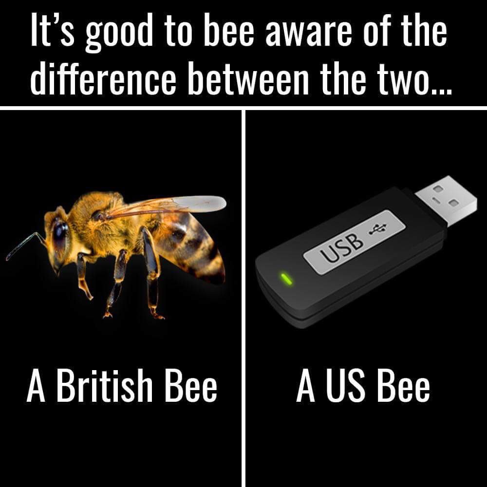 A US 🐝