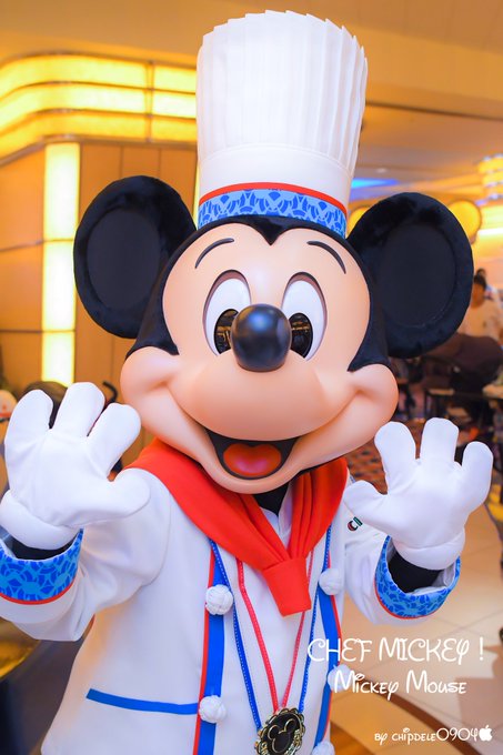 ディズニーホテルのバリアフリーを徹底比較 車椅子でも快適なのは ふくふくいずむ