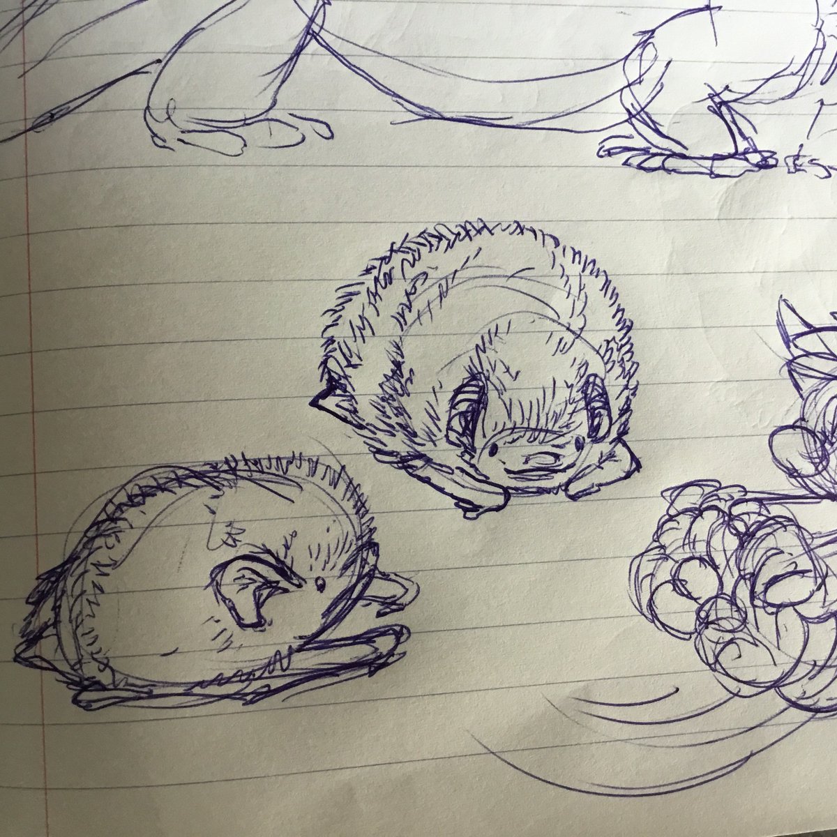 Some of this morning's warm up sketches. 