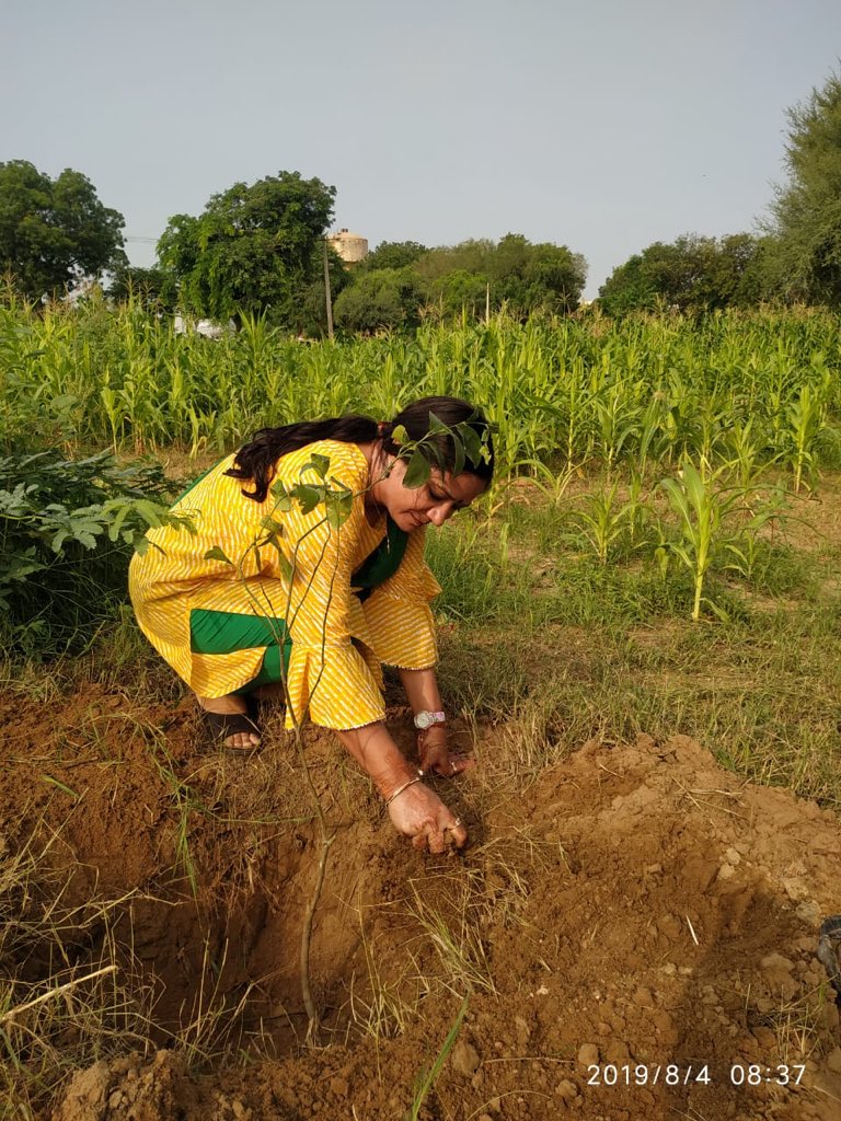 #plantation for #MotherEarth and for my #GreenRajasthan