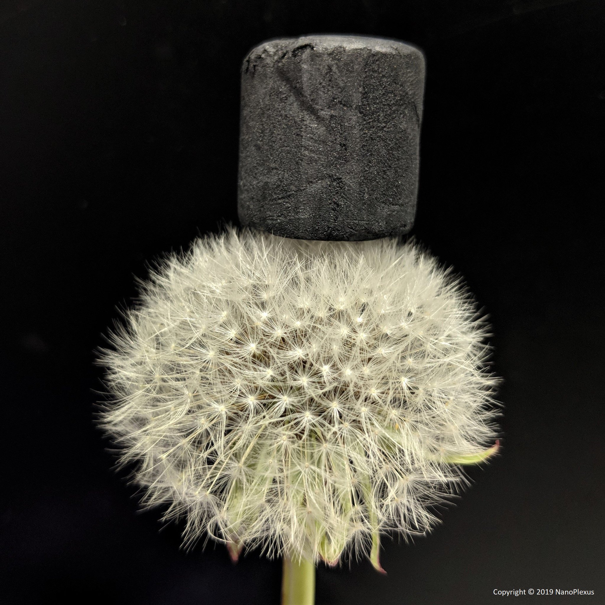 Nanoplexus on Twitter "Graphene Aerogels; one of the world’s lightest