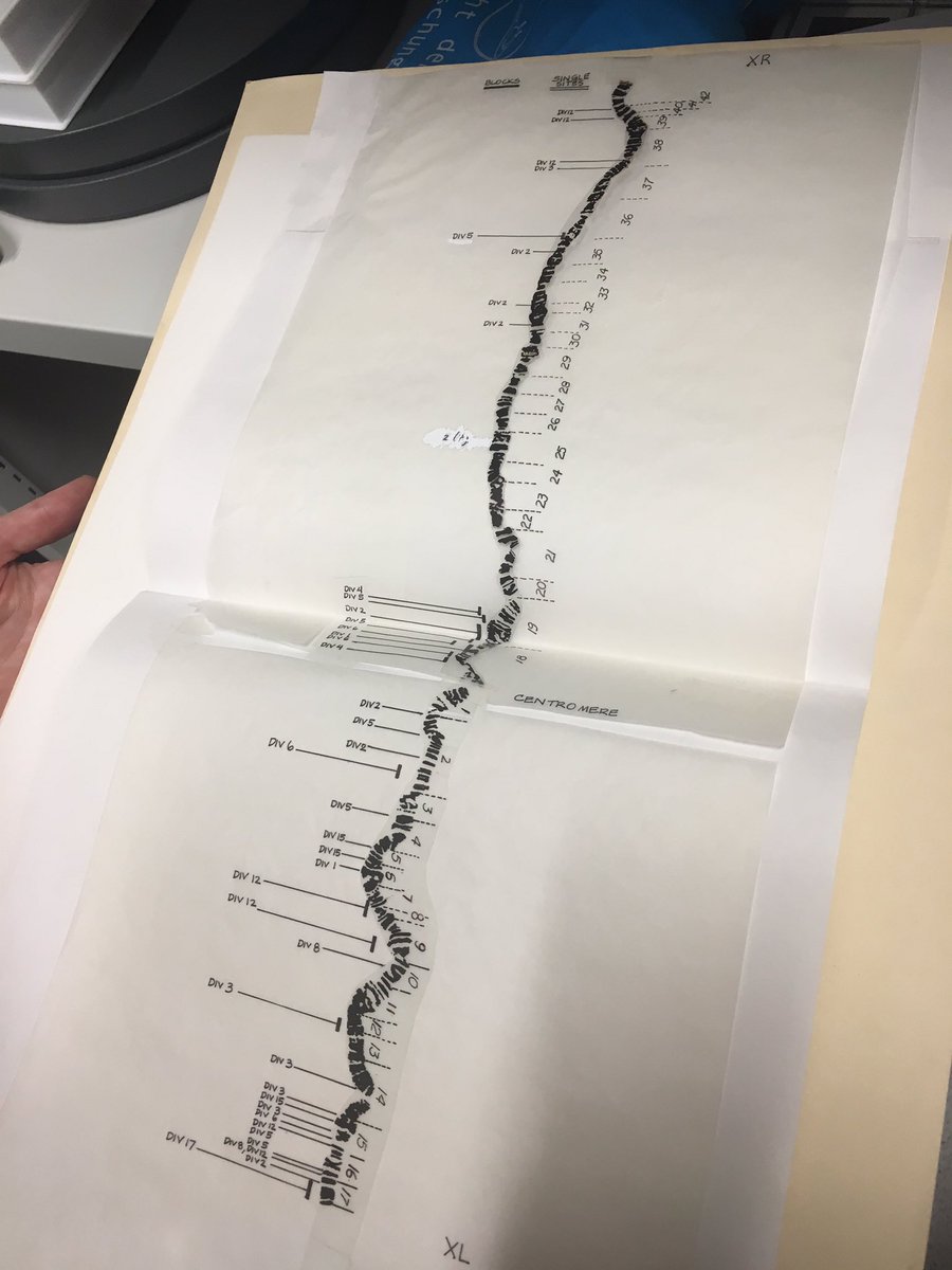 craftgeography's tweet photo. Morning with @ItStartsWithARC in the archives of the European molecular Biology Laboratory. Anne-flore is the founder archivist, full of admiration for her joy in developing the curatorial strategy and building the collection reflecting diversity of science #emblarchive https://t.co/aG8t4q5B09