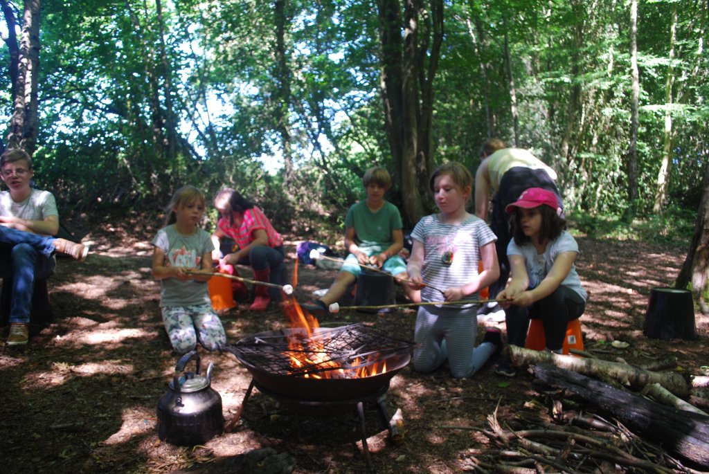 Young Carers – Bushcraft Activities burgesshillyouth.org/2019/08/04/you…