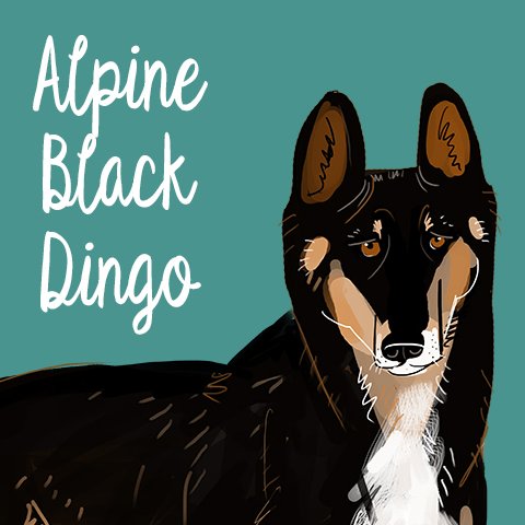 BeletteLePink's tweet photo. New entry for the #artchallenge #wolvesoftheworld2019 by @BeletteLePink
Day 9 .- #alpinedingo This is a black dingo more info on my IG account!
#dingo #belettelepink #wolves #dog #wildlife #australiandingo #australia
https://t.co/lcvCWI5jAx https://t.co/hiil2UxcZb