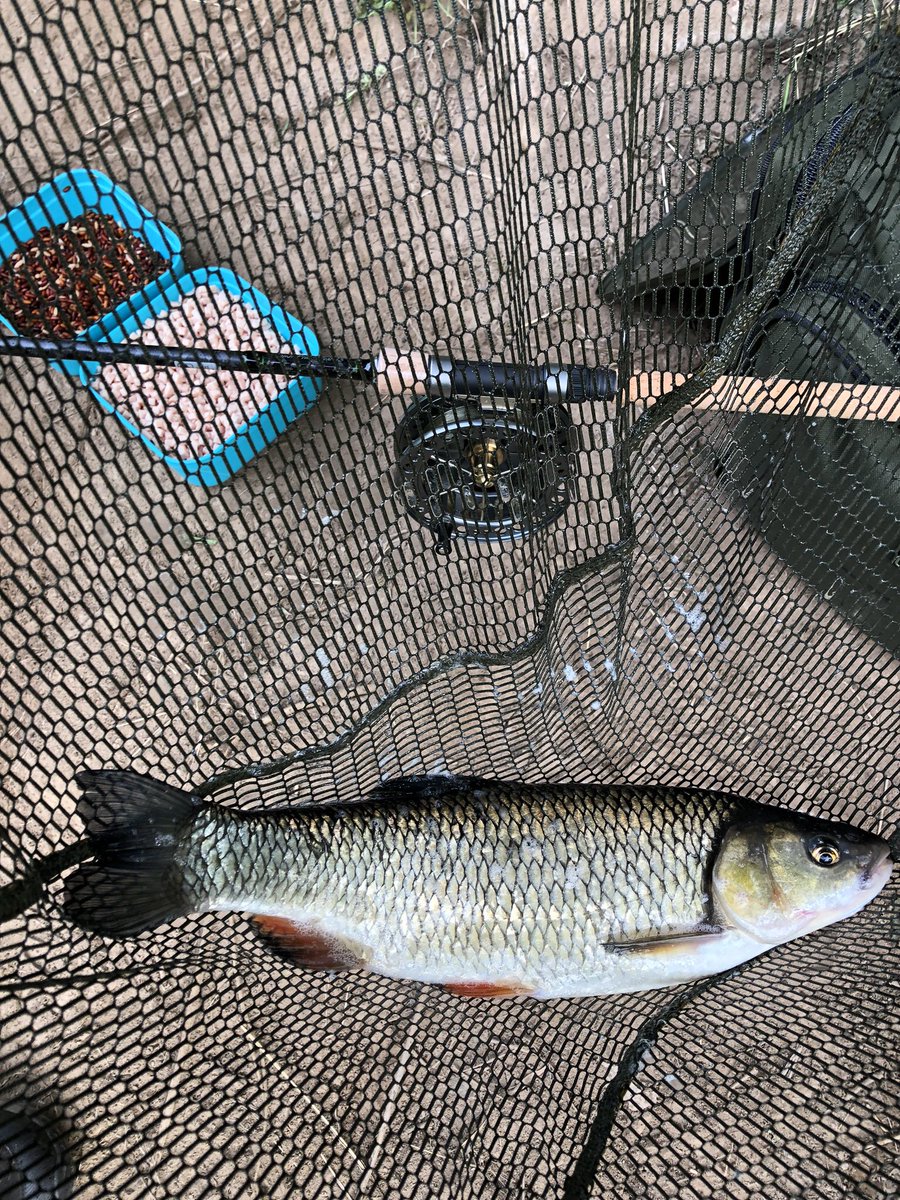 pauljed72's tweet photo. Beautiful morning in the Severn valley, out early with the Centrepin and stick float no Barbel but a few nice Chub. 🎣#riversevern #centrepin #stickfloat https://t.co/6CCxrU3TAj