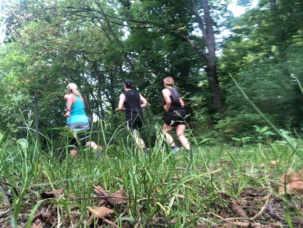 Ulrike Grandi-Haferstroh tweet media