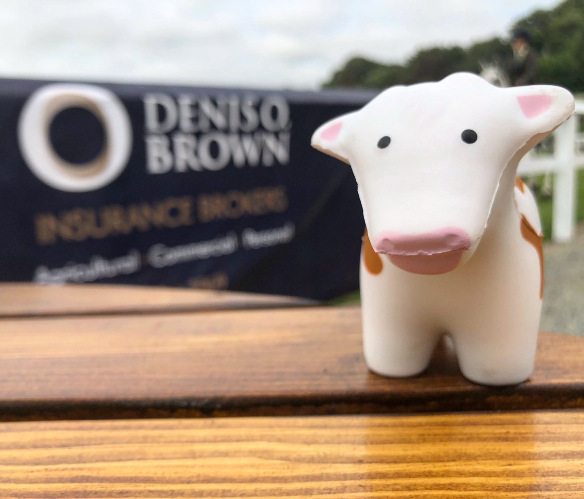 Denis O. Brown Insurance Brokers tweet media