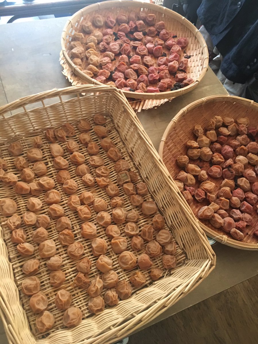 orbittokinowa03's tweet photo. 少し夏バテ気味なのですが、食欲は相変わらずです。
そして梅干が完成😊

#ヴィーガン #ビーガン #vegan https://t.co/9gSQp9maJa