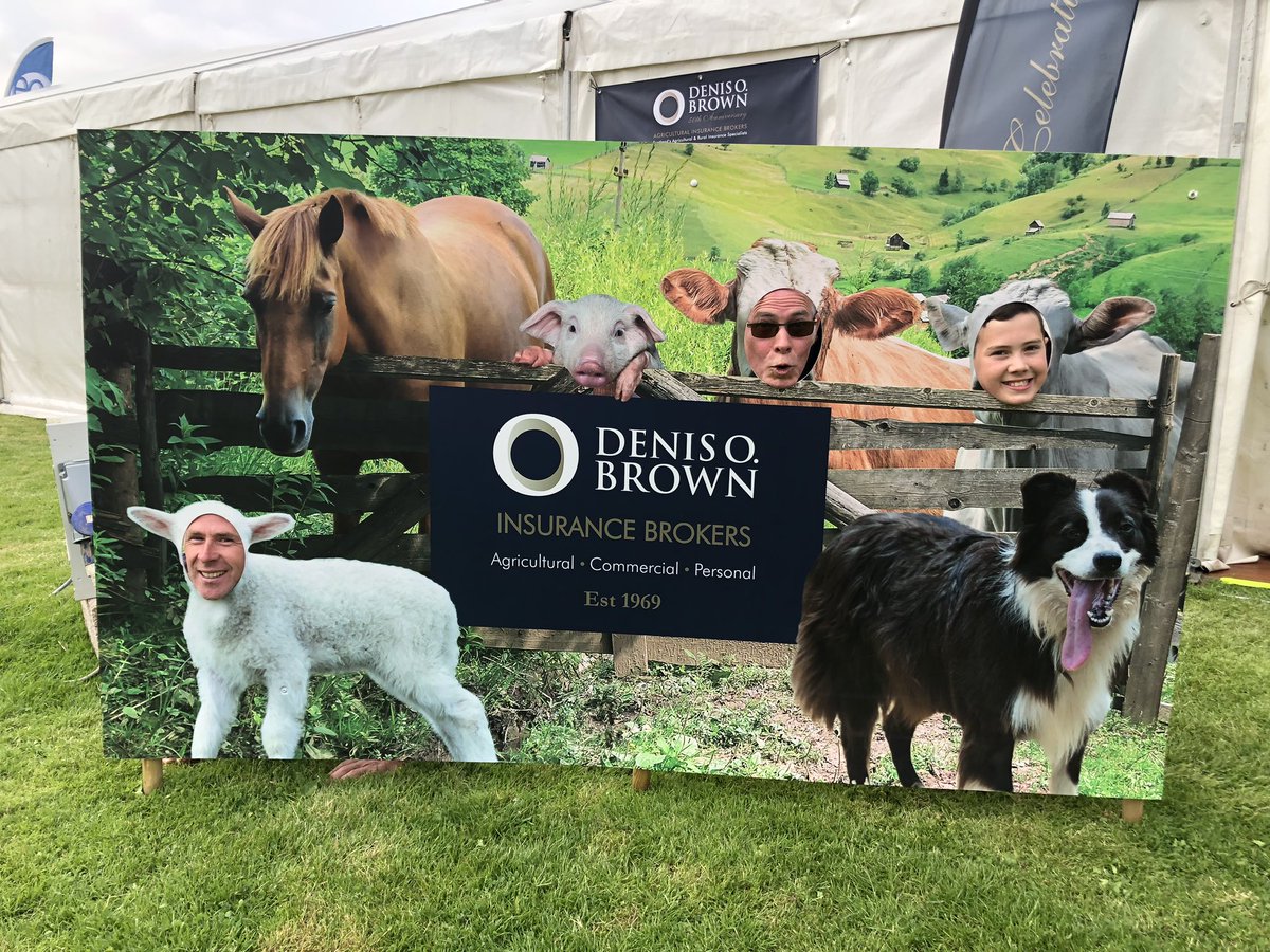 Denis O. Brown Insurance Brokers tweet media