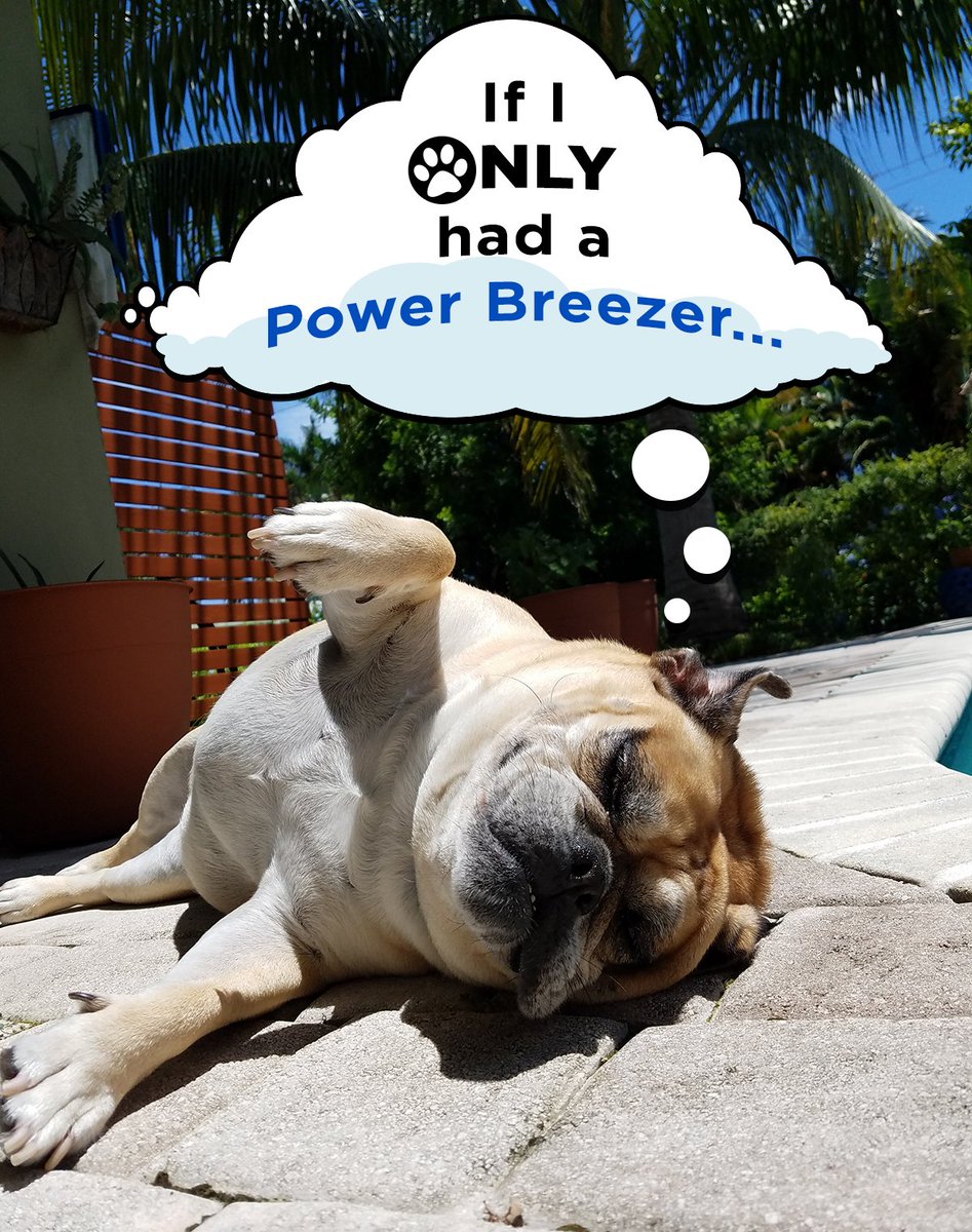 PowerBreezer's tweet photo. πΆ Wishful thinking #dogdaysofsummer #dogsoftwitter #PowerBreezer #EveryoneDeservesToBeCool https://t.co/94BMpigkou