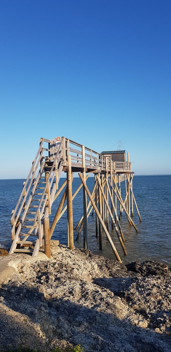 ludovic_pouille's tweet image. Les Carrelets de Saint-Palais sur mer... Authentiques cabanes de pêcheurs sur l'estuaire de la #Gironde, perchées entre ciel, terre et mer...
Au loin, au large, le phare de #Cordouan.
#MagnifiqueFrance🇫🇷 #CharenteMaritime #Aquitaine #BeautifulFrance