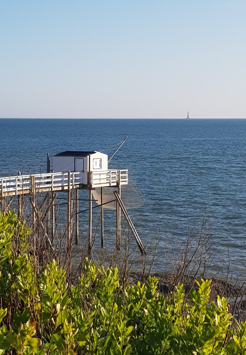 ludovic_pouille's tweet image. Les Carrelets de Saint-Palais sur mer... Authentiques cabanes de pêcheurs sur l'estuaire de la #Gironde, perchées entre ciel, terre et mer...
Au loin, au large, le phare de #Cordouan.
#MagnifiqueFrance🇫🇷 #CharenteMaritime #Aquitaine #BeautifulFrance