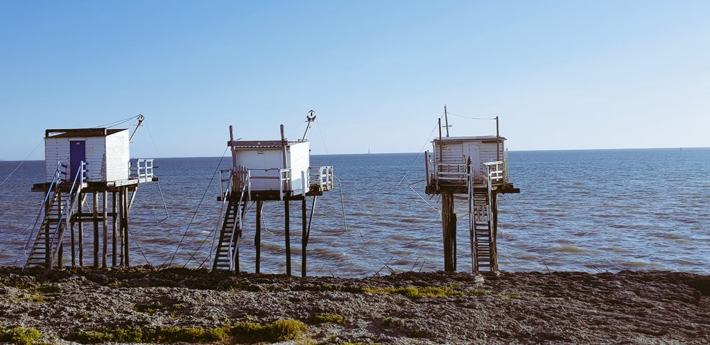 ludovic_pouille's tweet image. Les Carrelets de Saint-Palais sur mer... Authentiques cabanes de pêcheurs sur l'estuaire de la #Gironde, perchées entre ciel, terre et mer...
Au loin, au large, le phare de #Cordouan.
#MagnifiqueFrance🇫🇷 #CharenteMaritime #Aquitaine #BeautifulFrance
