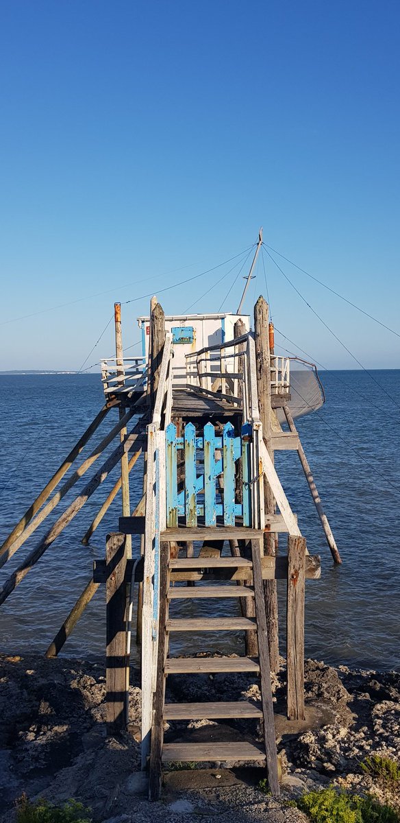 ludovic_pouille's tweet image. Les Carrelets de Saint-Palais sur mer... Authentiques cabanes de pêcheurs sur l'estuaire de la #Gironde, perchées entre ciel, terre et mer...
Au loin, au large, le phare de #Cordouan.
#MagnifiqueFrance🇫🇷 #CharenteMaritime #Aquitaine #BeautifulFrance