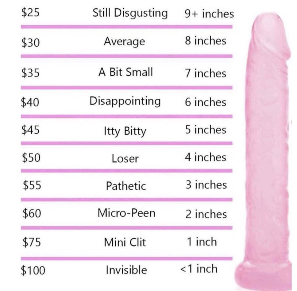 sofie1340's tweet photo. Time to pay your taxes🥰🥰😈

#findom #mistress #goddess #paypig #finsub https://t.co/jpNhWuXyZo