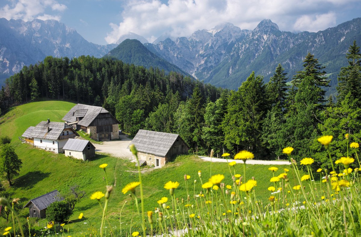 marcosecchi's tweet photo. The #Klemensek farmstead above the #Logarska Valley is probably one of the most photographed farms in #Slovenia. 
.
#ifeelsLOVEnia #boutiqhotel @hotelplesnik #kamniskosavinjskealpe #alpineecowellness #well  #logarska_dolina
#logarskavalley  #slovenia #alpsmountains #lexus https://t.co/VfwYjL4G4w