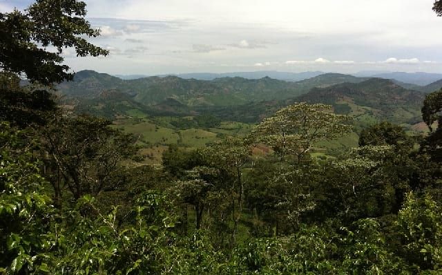 CoffeeOriginsTravel tweet media
