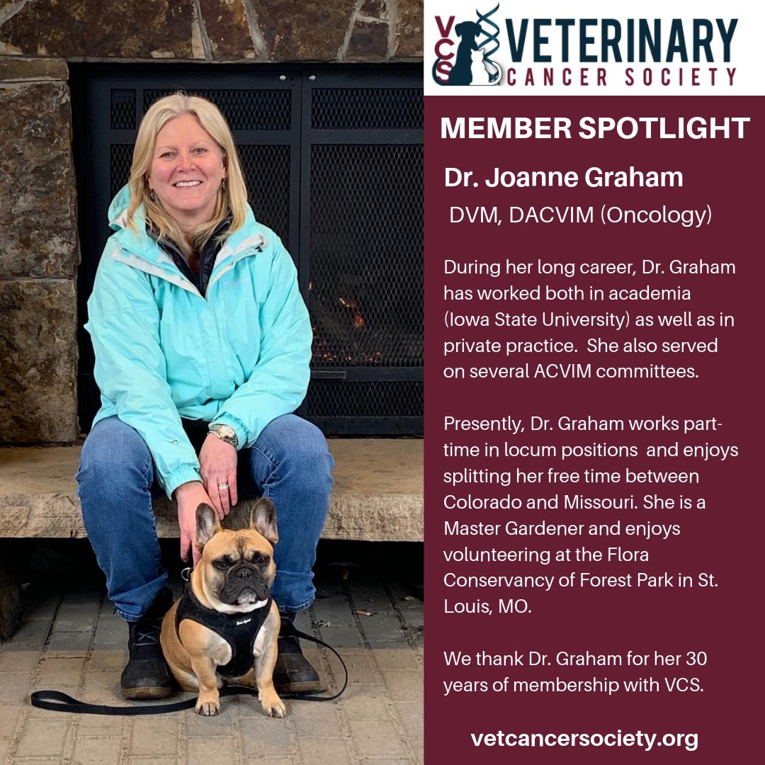 Veterinary Cancer Society tweet media