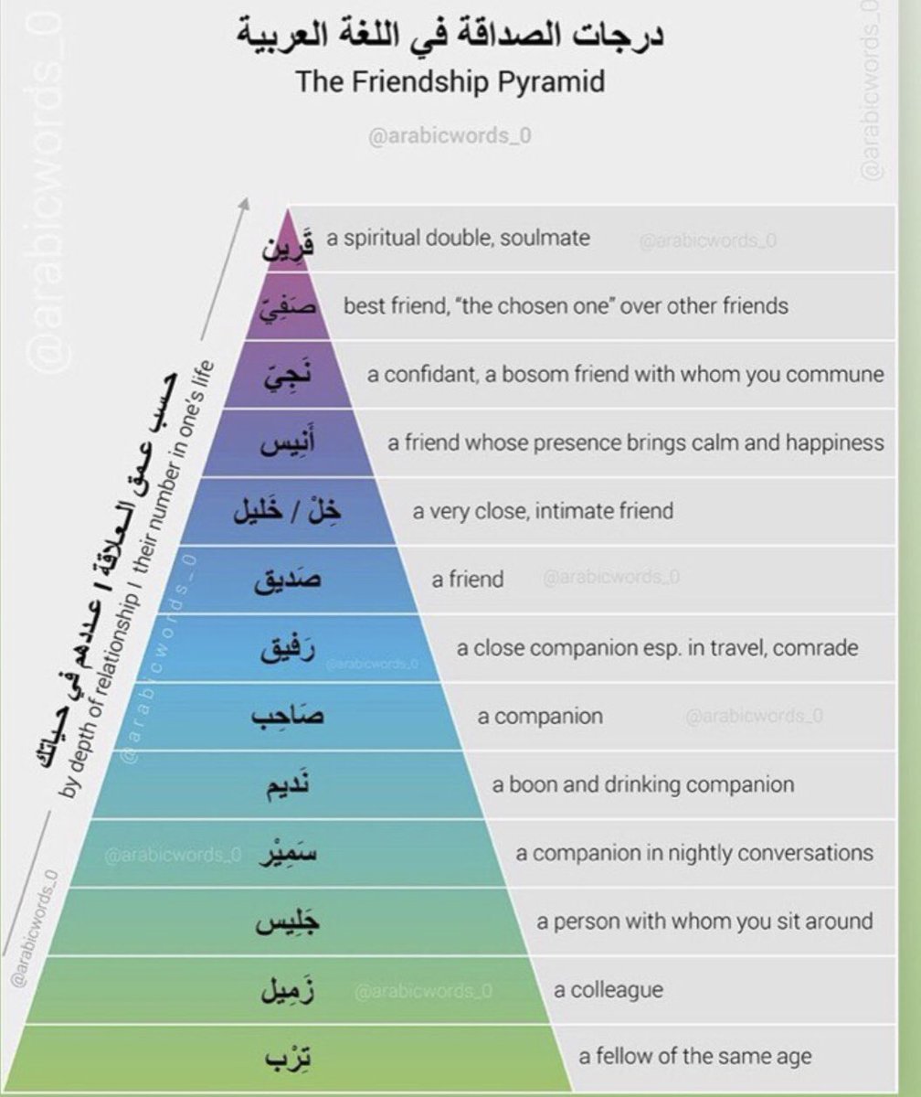 درجات الصداقة