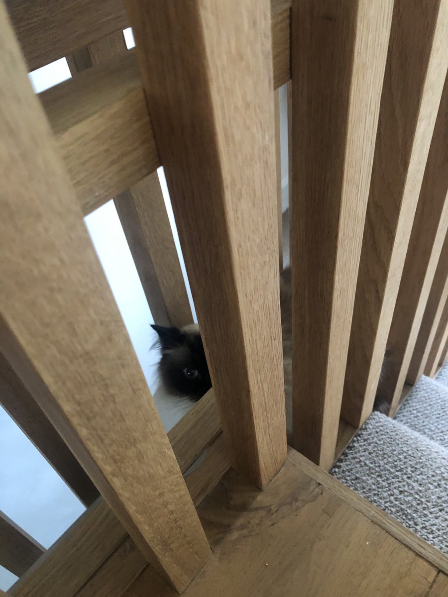 Jonathan Norris tweet media